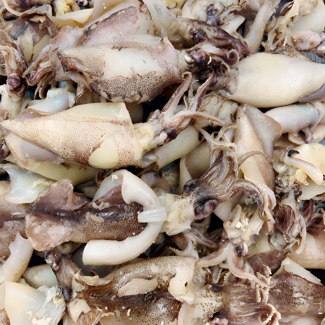 本港鱿鱼干 新鲜生晒 穿竹鱿500g