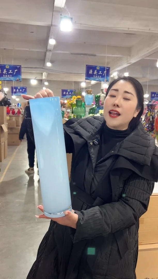 【闪购商品】玻璃花伴你花瓶-微瑕-76R5T