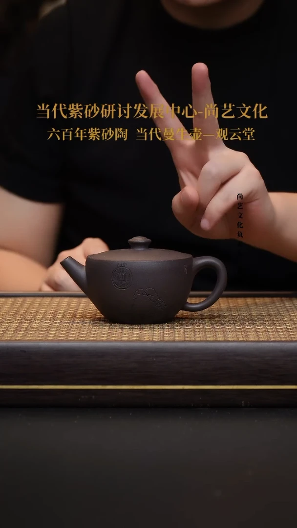 茶壶紫砂宜兴紫砂壶向前看