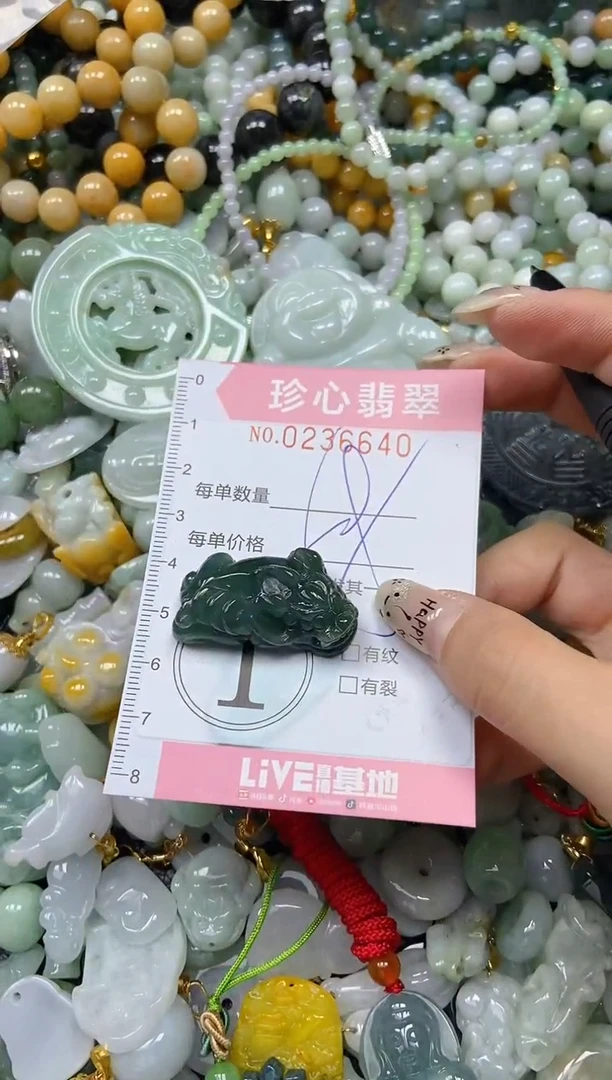 翡翠未镶嵌颈饰闪购0236640