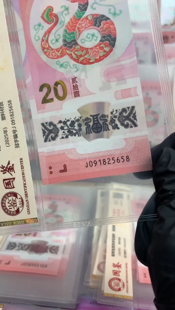 【闪购商品】塑料蛇钞 真钞【单张】5658