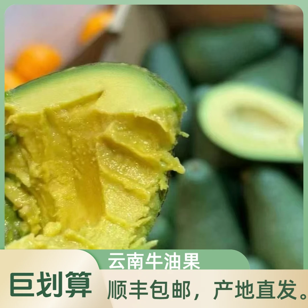 吴大漂亮【顺丰发货】CA云南新鲜牛油果青皮熟品克顿巨无霸大果