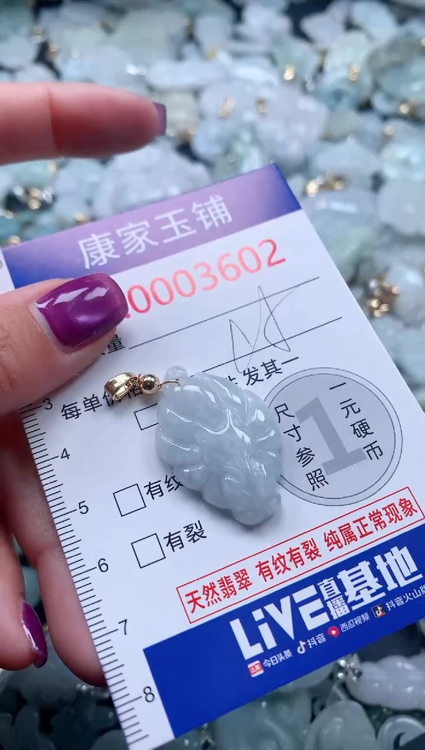 颈饰未镶嵌翡翠3602