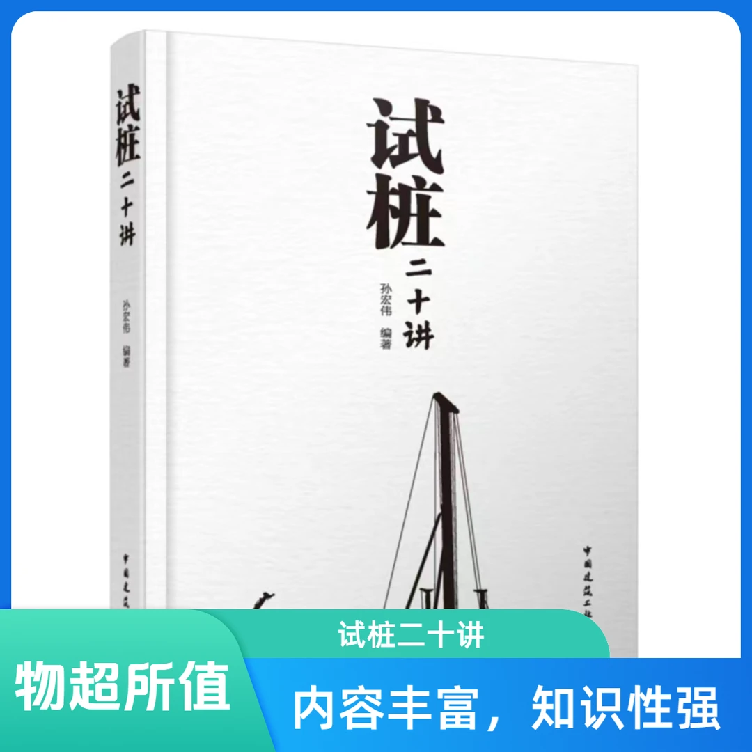 试桩二十讲的书籍实体书