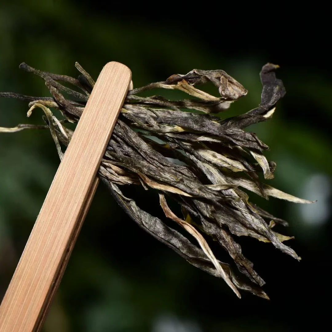 2025年冰岛坝歪古树普洱茶生茶散茶云南普洱茶茶叶