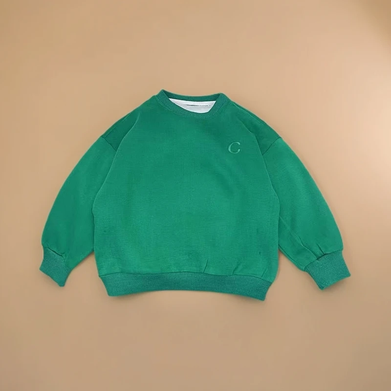 【现货】WY-2423中性时尚刺绣纯色休闲卫衣韩版套头