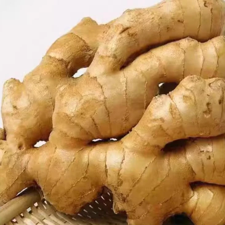 优质鲜生姜±500g