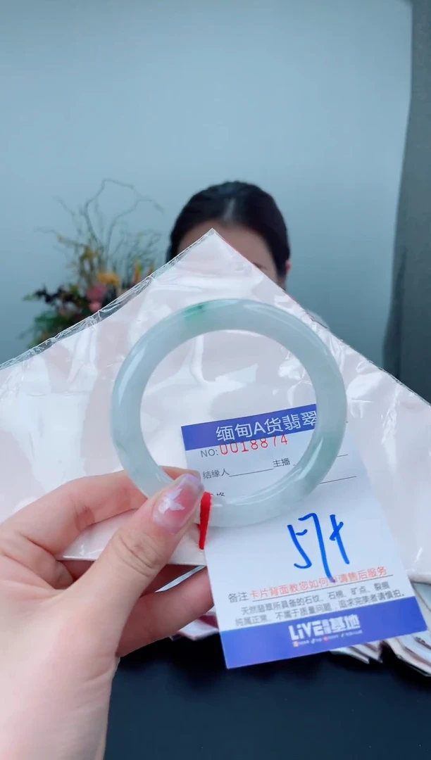 未镶嵌手镯翡翠2