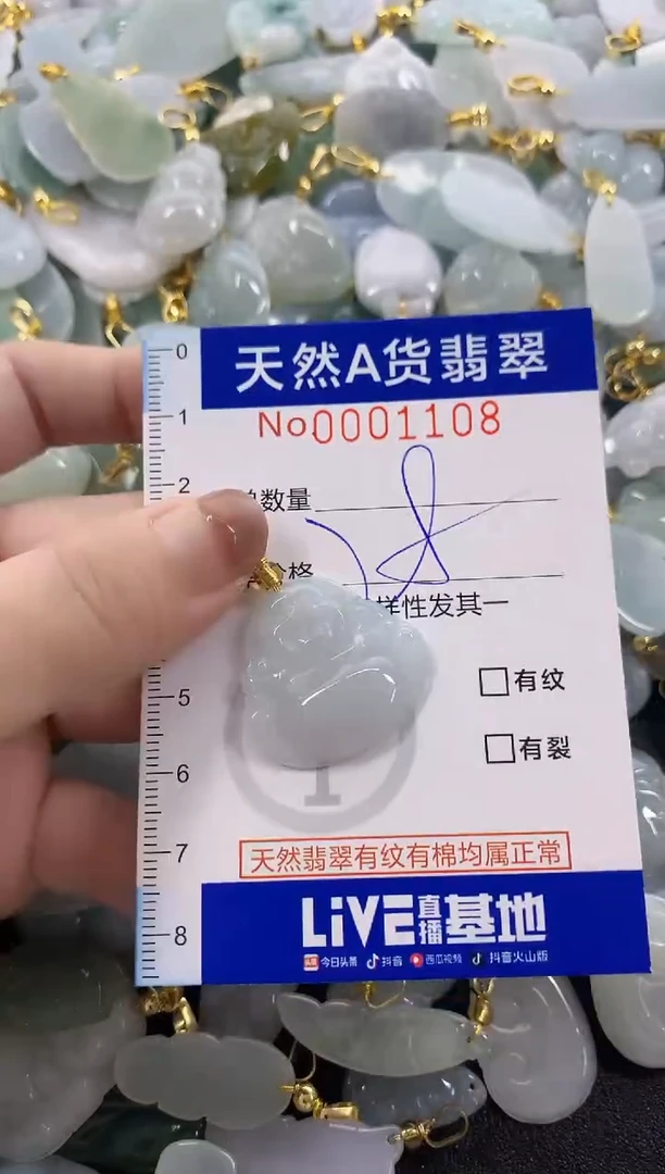 颈饰未镶嵌翡翠天然A货翡翠
