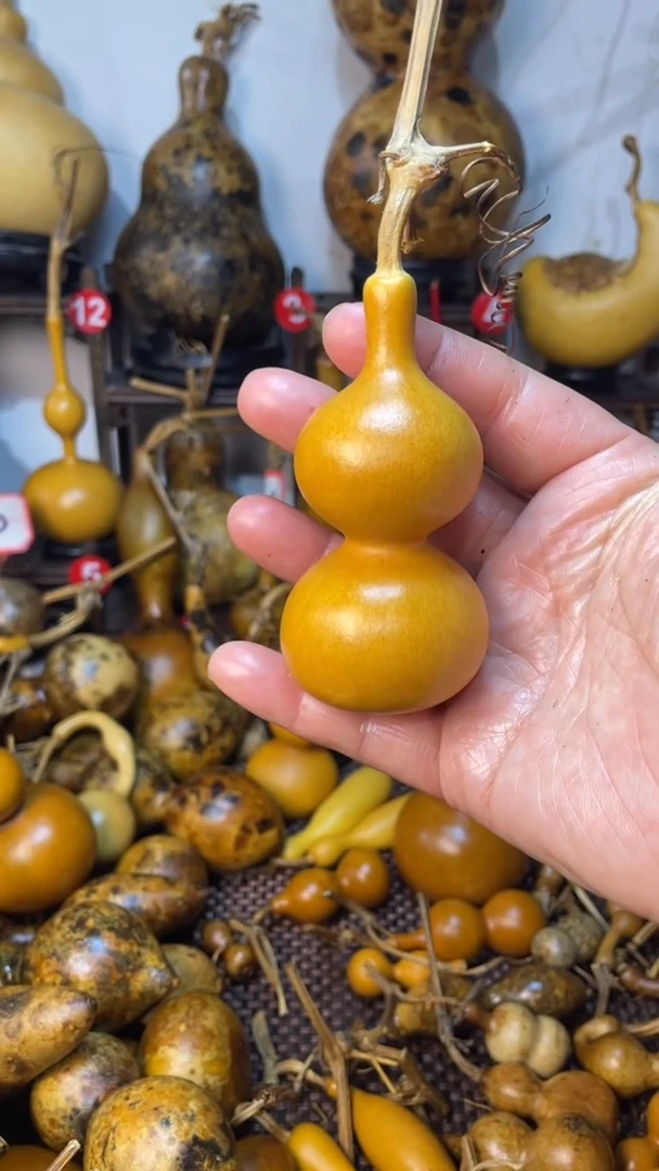 【闪购商品】葫芦葫芦葫芦葫芦葫芦葫芦