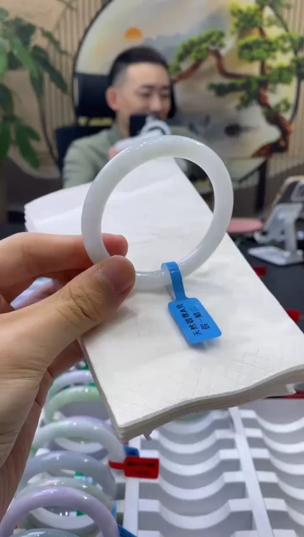 未镶嵌手镯翡翠3963