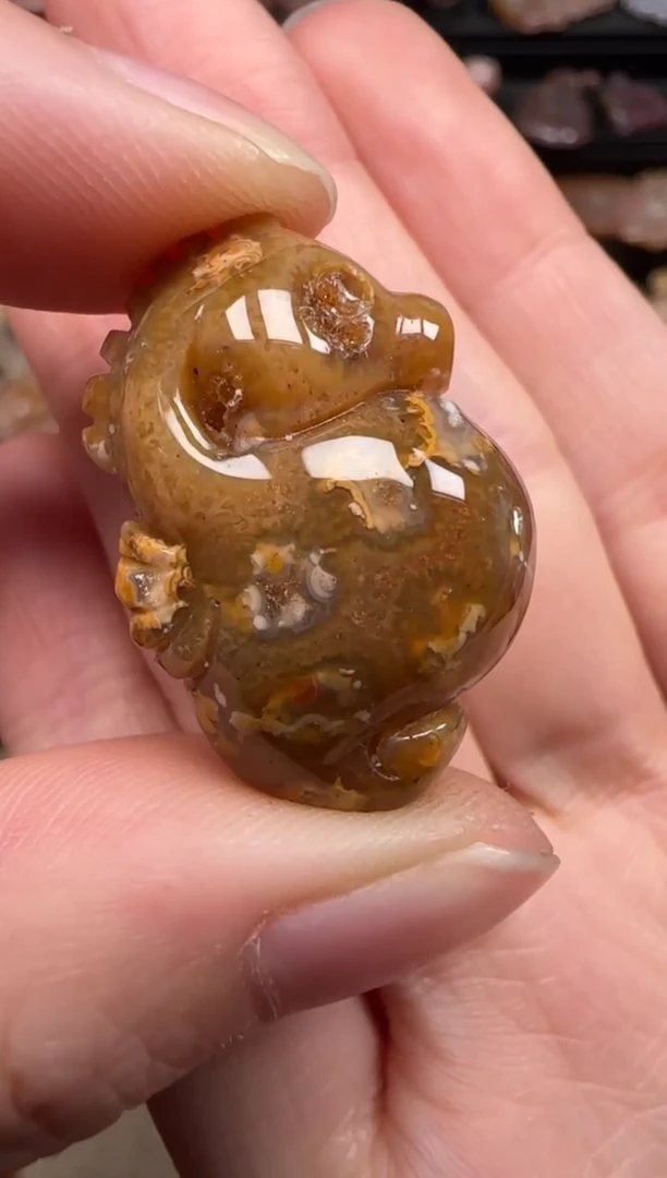 硅化珊瑚（珊瑚玉）未镶嵌颈饰363