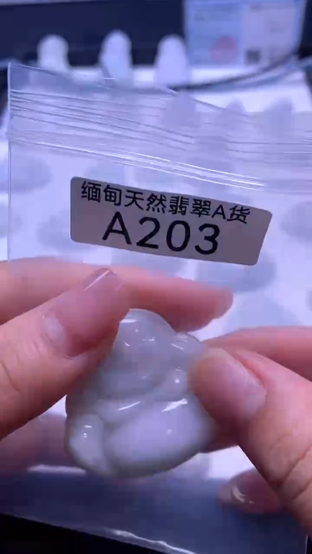 颈饰未镶嵌翡翠A203