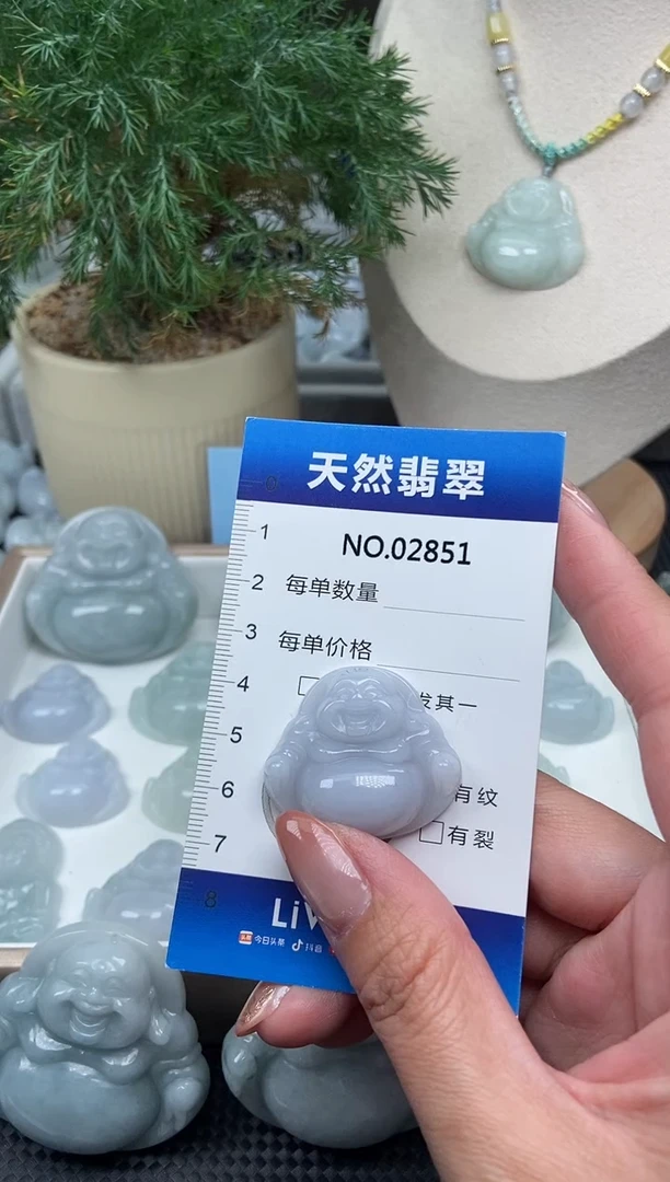 颈饰未镶嵌翡翠纯天然A货缅翡2851