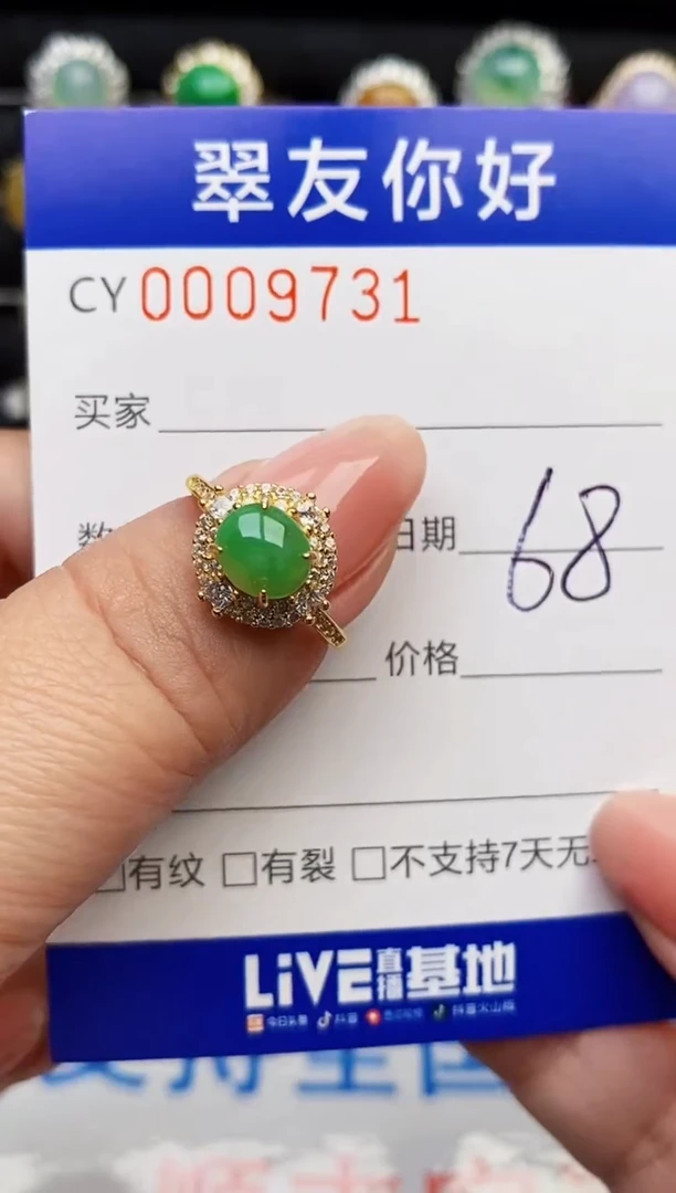 翡翠戒指银S925镶嵌9731