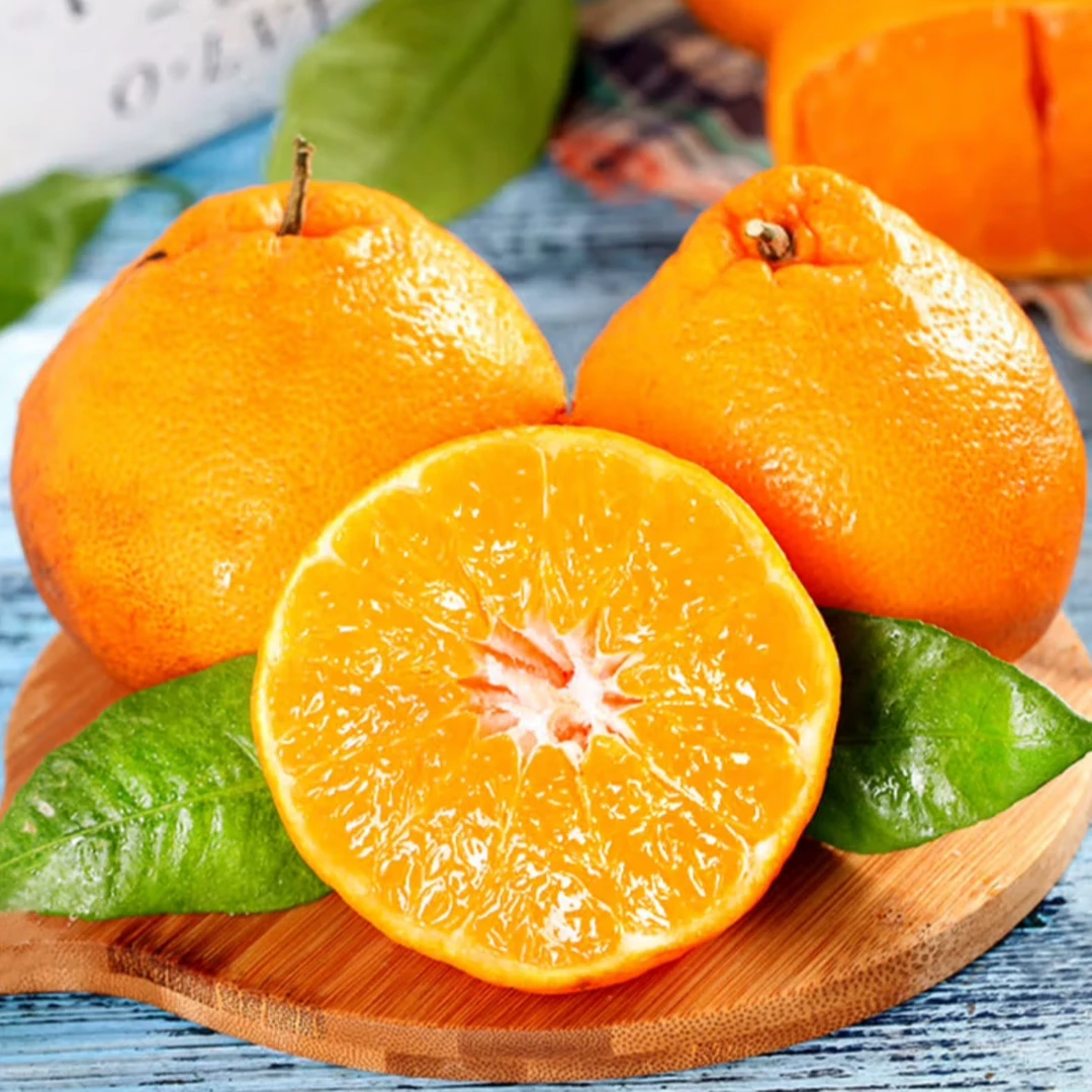 (甄选)春见粑粑柑 6斤 精美礼盒 新鲜应季水果 京东包邮