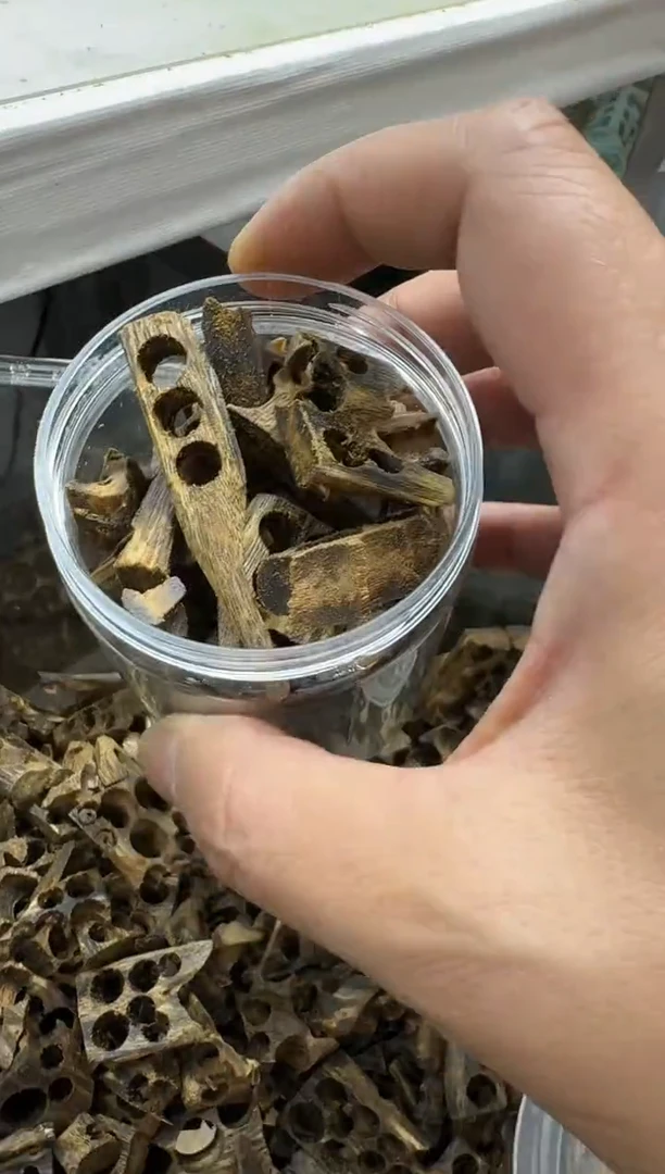 沉香碎屑沉香绿棋楠沉香碎料50克高品质