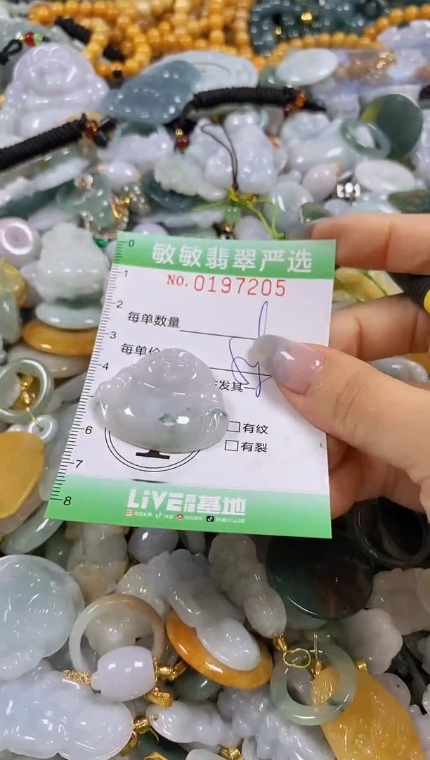 翡翠未镶嵌颈饰闪购0197205