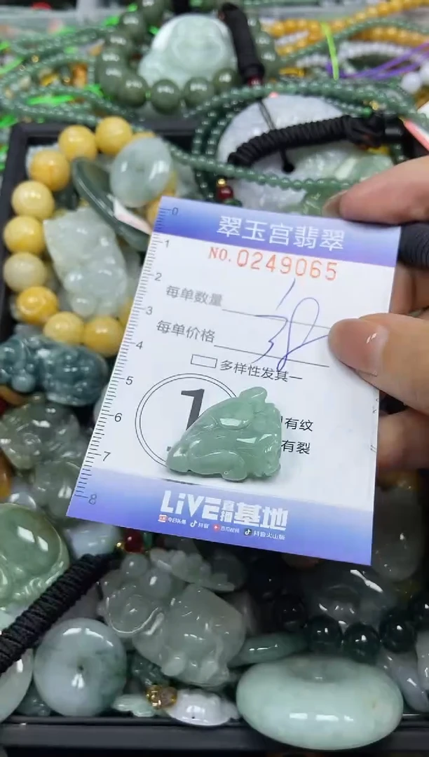 颈饰未镶嵌翡翠闪购C0249065