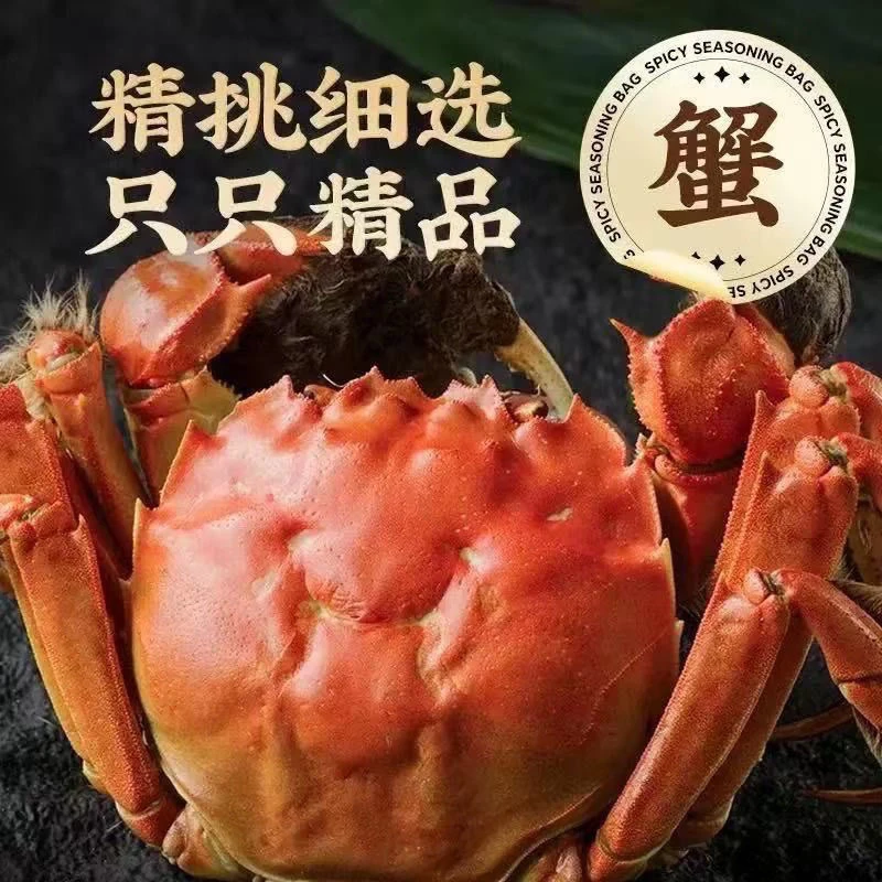 【活蟹】精挑大闸蟹公蟹5.1-4.8两母4.1-3.8两10只鲜活冷链包邮TX