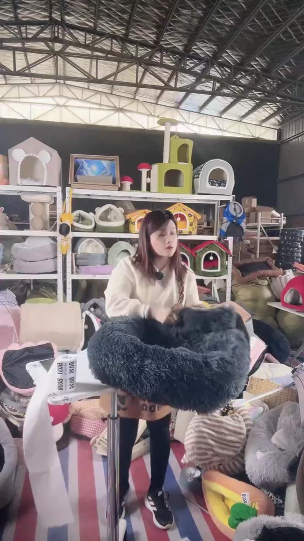 B031双十一清仓抢购买一送一