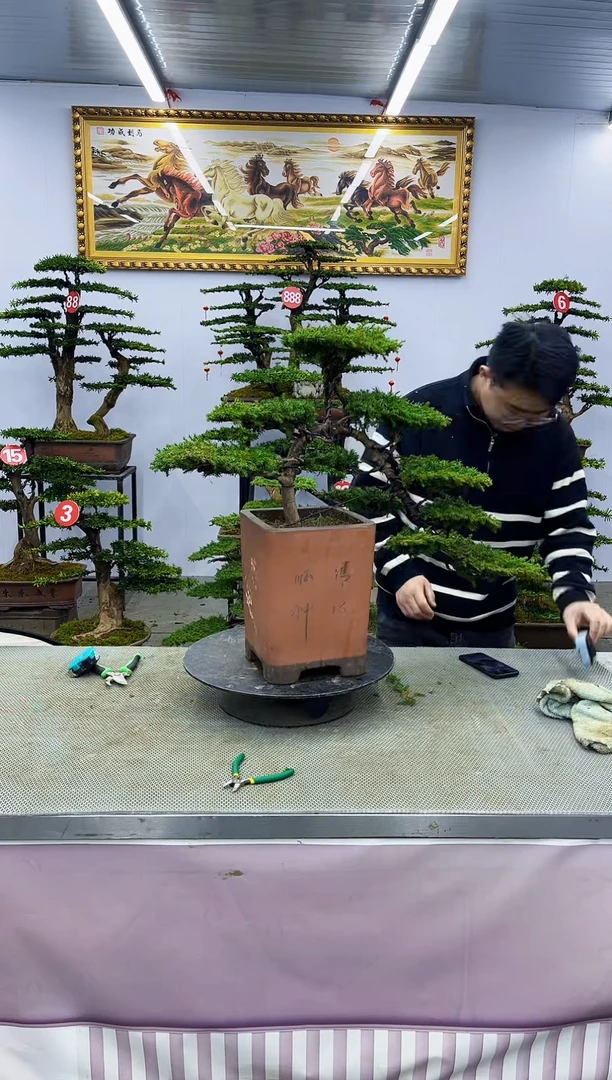 【闪购商品】一物一拍，所见即所得一物一拍，所见即所得