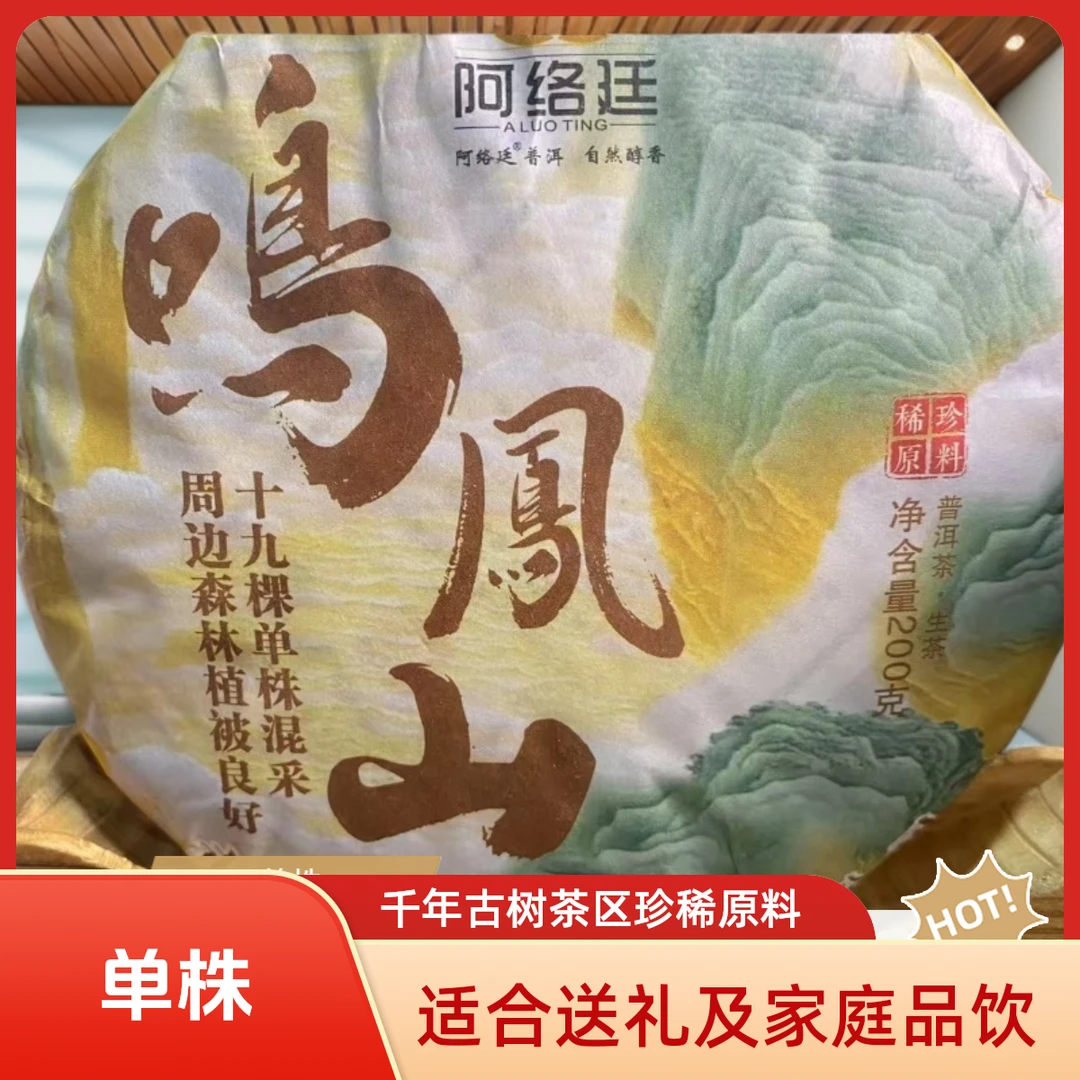 【云南普洱茶生茶】临沧产区23年鸣凤山单株头春古树【千年古树茶区】
