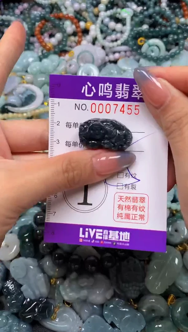 颈饰未镶嵌翡翠闪购007455