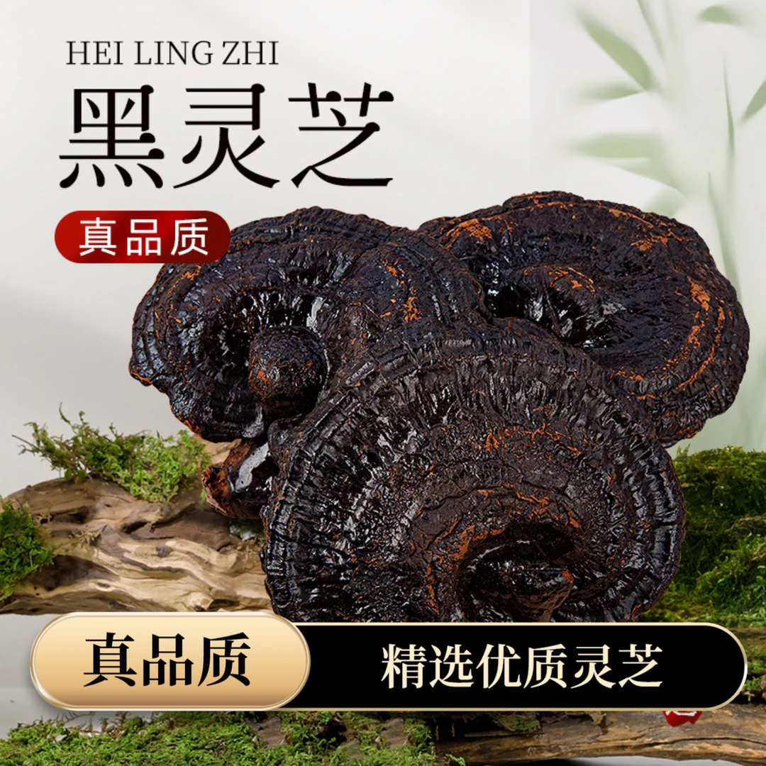 【品质甄选】正品黑灵芝干货煲汤泡茶泡酒土特产