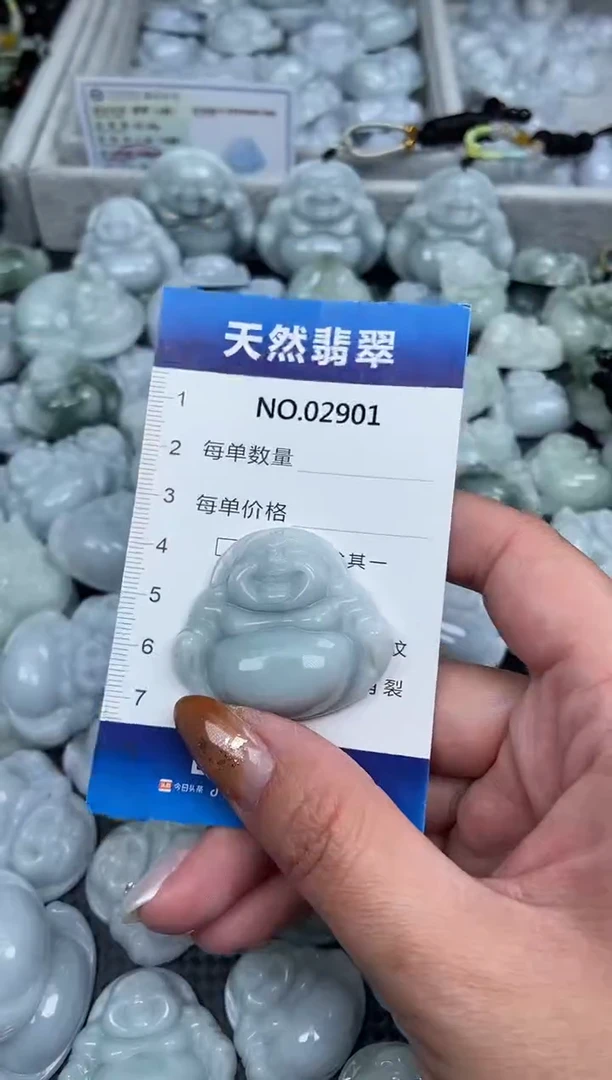 颈饰未镶嵌翡翠纯天然A货翡翠2901