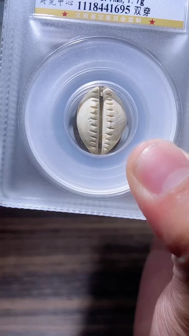 【闪购商品】铜历代 骨贝骨贝一枚