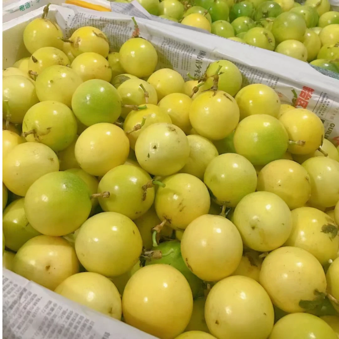 【新鲜果发货】钦蜜9号广西水果黄金百香果采摘饱满紫黄皮百香果