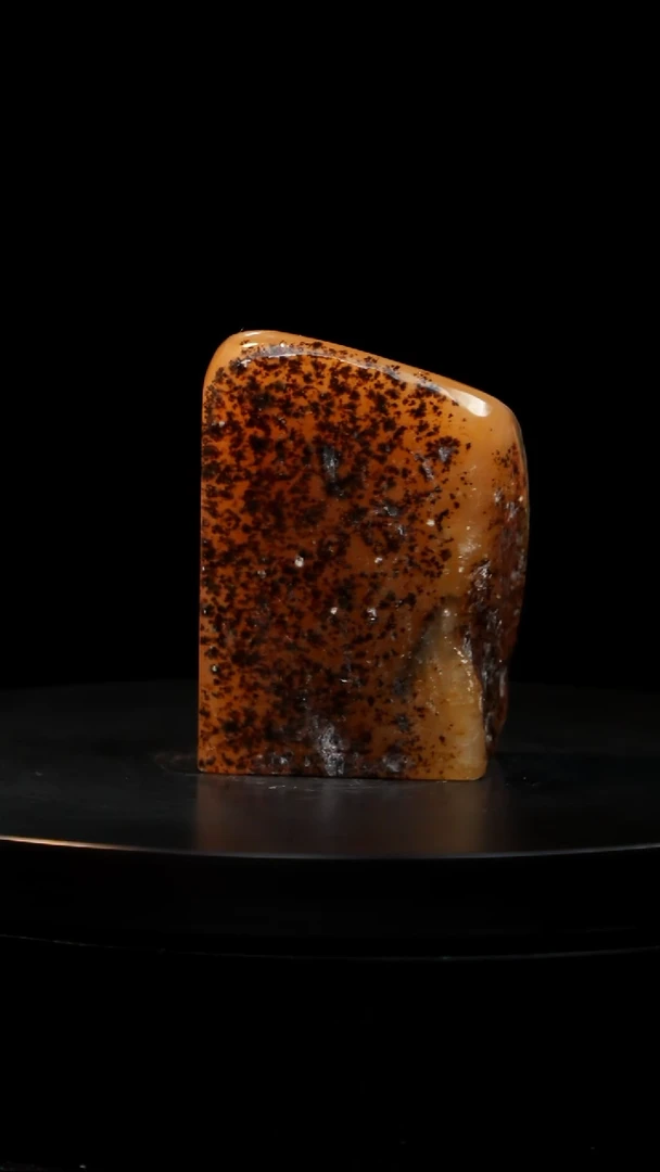 田黄石水草稀少品种