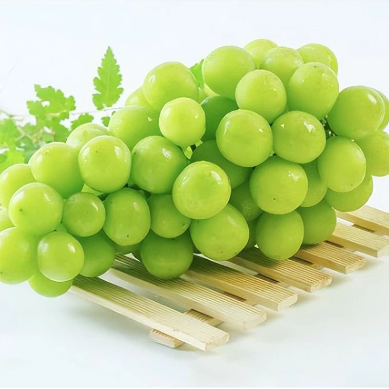 【果益浓】阳光玫瑰直播专用链接