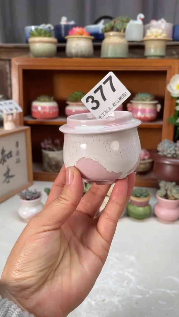 瓷片377小芳直播编号