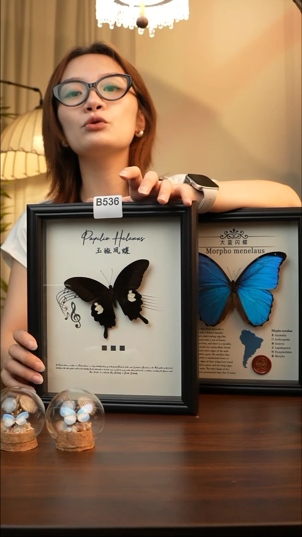 玉斑凤蝶（10寸方黑色新款框）B536