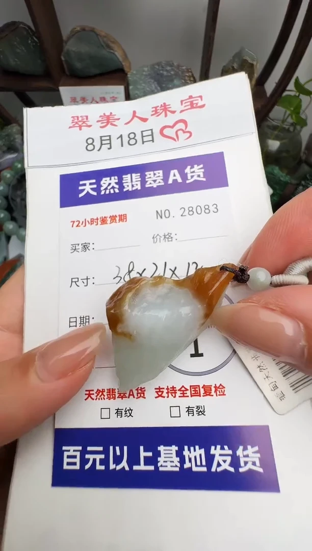翡翠未镶嵌颈饰原石28083