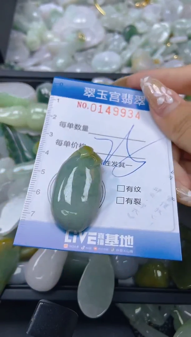 翡翠未镶嵌颈饰闪购0149934