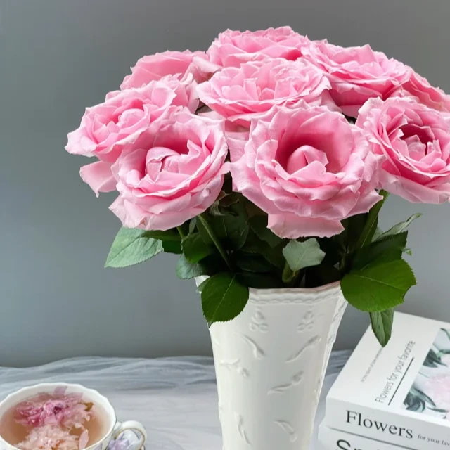 20枝【甜蜜雪山/娇兰】玫瑰 一单中通二单中通冷链三单顺丰冷链包邮