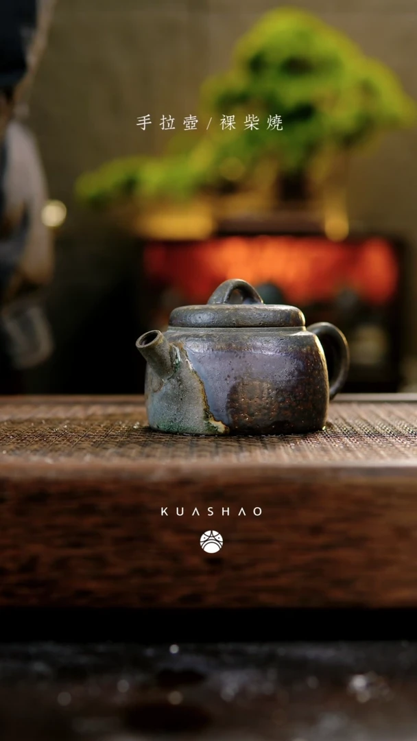 【闪购商品】惊蛰壶819...........