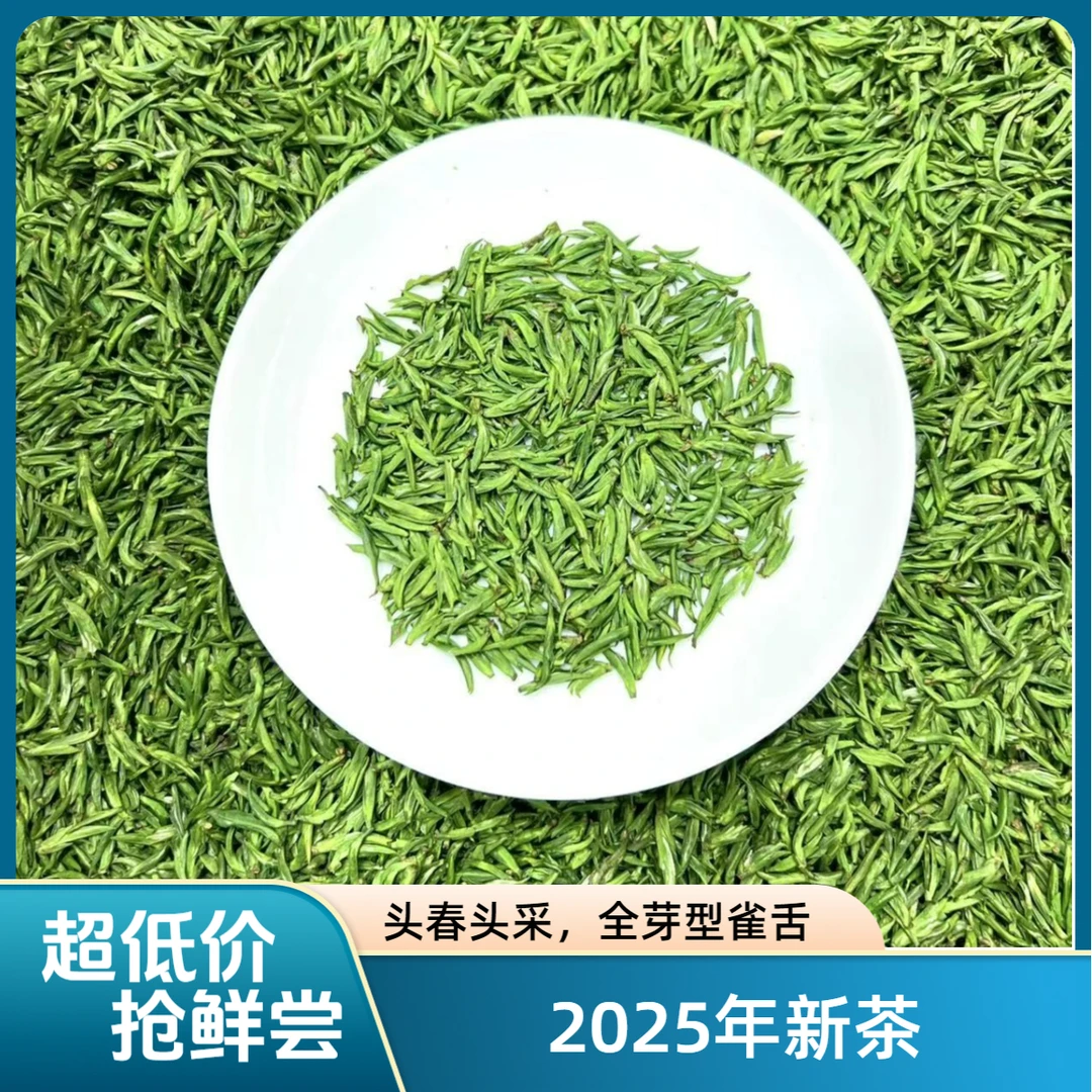 2025年 新茶 峨眉蕊芯 头春头采全小嫩芽 雀舌