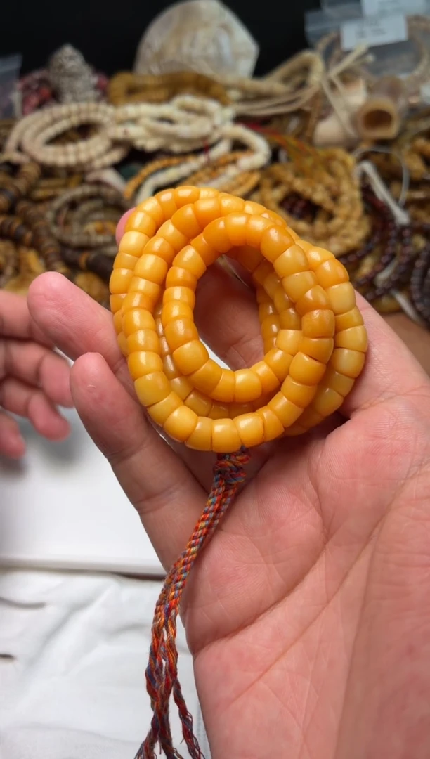 牛骨其他TT68-玉化腿骨大肠-非完美