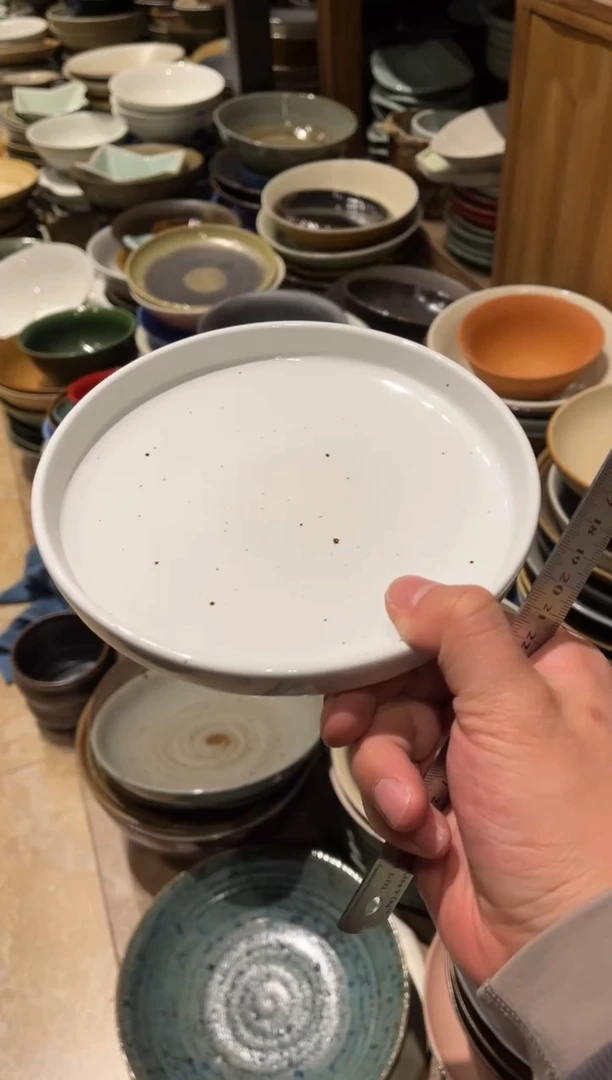 【闪购商品】瓷片81 白麻点立口盘1个