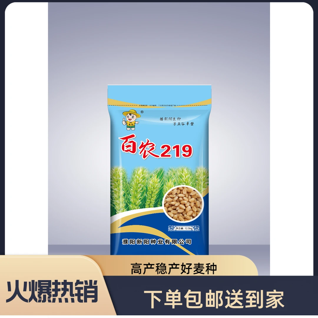 百农219系出名门大穗高产稳产抗倒伏抗病耐寒抗病稳产有保障