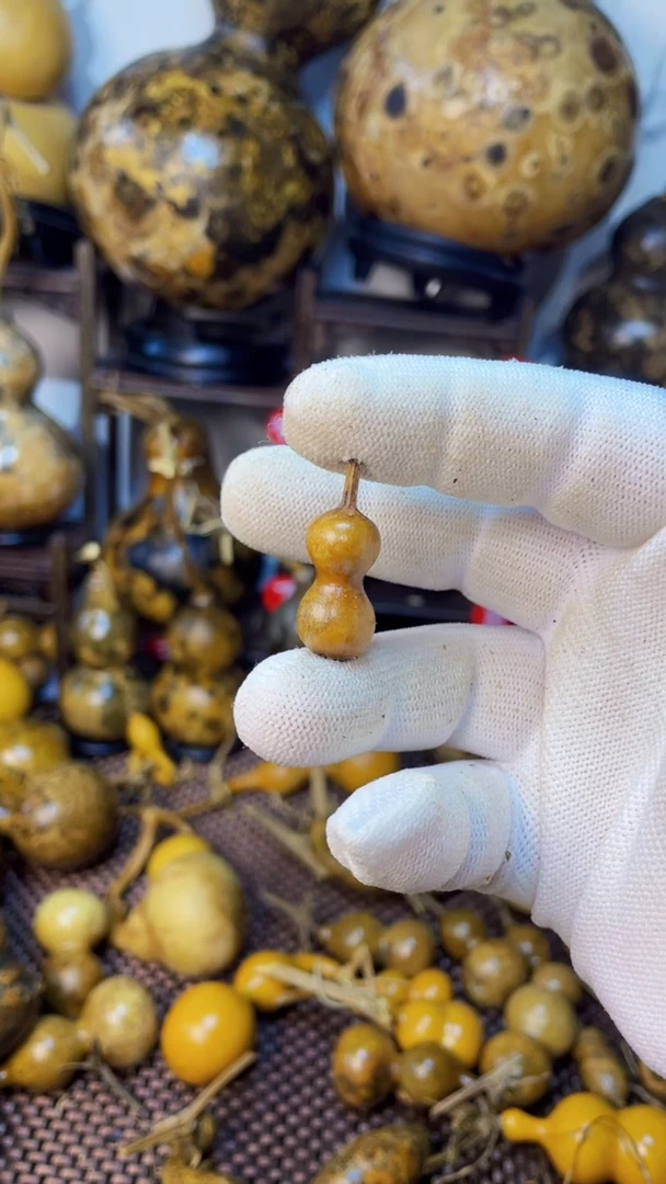 【闪购商品】葫芦葫芦葫芦葫芦