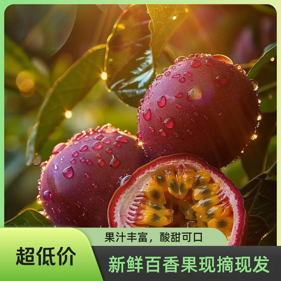 【紫皮百香果】乌兰哈达丰收节专场·现摘现发产地直供酸甜可口紫百香果内蒙古自治区