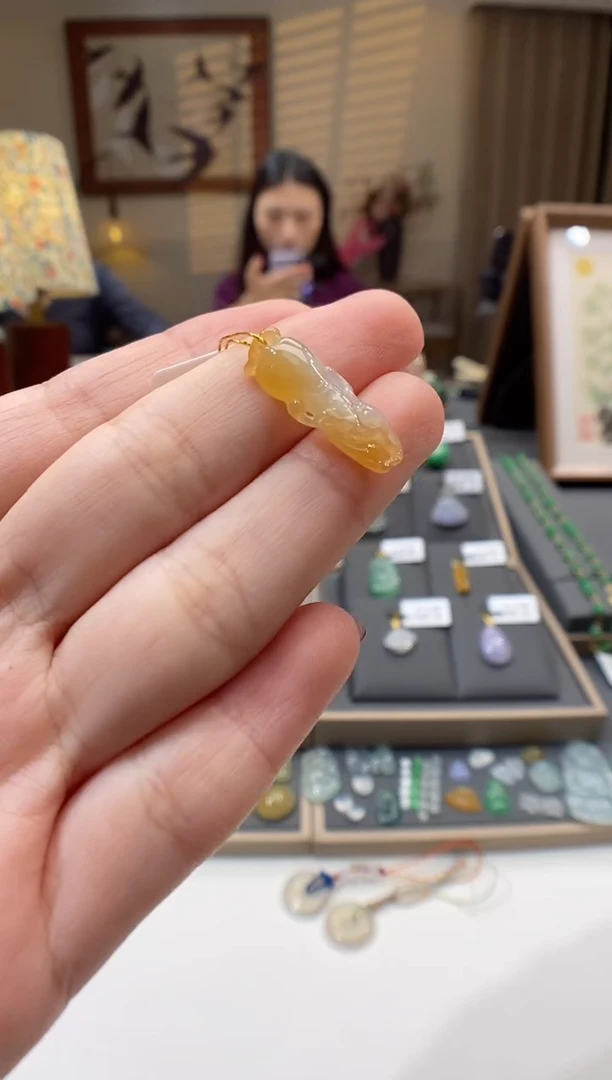 【闪购商品】翡翠颈饰未镶嵌人参