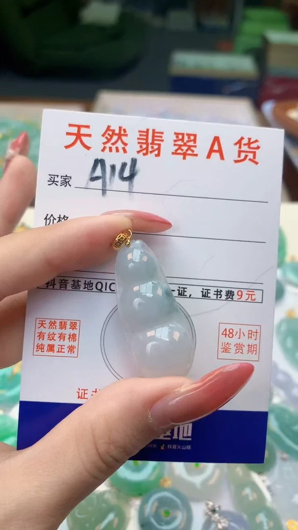 颈饰未镶嵌翡翠天然A货翡翠挂件