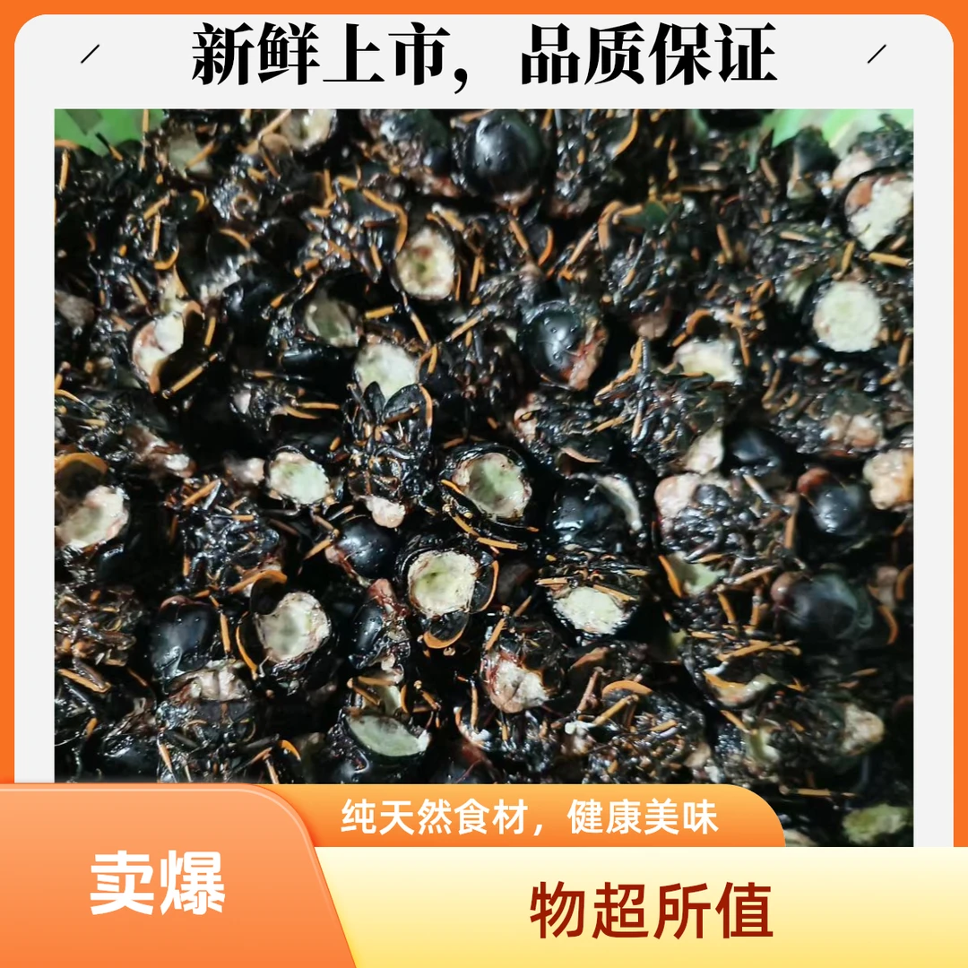 现剥去头去尾【生知了】高蛋白/包邮次日送达