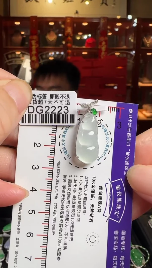 翡翠18K金镶嵌颈饰DG2223 冰豆豆